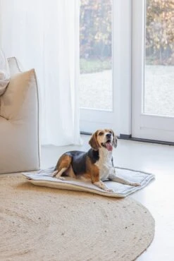 Designed By Lotte Benchkussen Gisel Grijs 89 X 60 X 6 Cm -Beeztees || ROYAL CANIN || FLEXI Verkoopwinkel 8712695202554 8