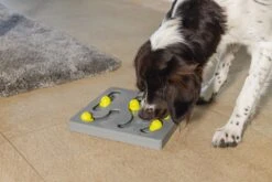 Beeztees Hondenspeelgoed Brain Game Looki Grijs 28 X 28 X 4,5 Cm -Beeztees || ROYAL CANIN || FLEXI Verkoopwinkel 8712695202769 4