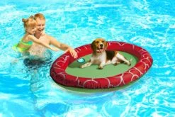 Beeztees Hondenspeelgoed Luchtbed Gody Rood / Groen 140 X 96 X 10 Cm -Beeztees || ROYAL CANIN || FLEXI Verkoopwinkel 8712695667223 3