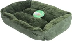 Boon Honden- En Kattenmand Divan Groen 50 X 40 X 15 Cm 9 Boon Honden- En Kattenmand Divan Groen 50 X 40 X 15 Cm -Beeztees || ROYAL CANIN || FLEXI Verkoopwinkel 8712901076900 3