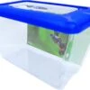 Penn-Plax Penn Plax Aquarium Blauw 15 L