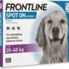 Frontline Teken- En Vlooiendruppels Spot-on Hond L 20-40 Kg 4 Stuks -Beeztees || ROYAL CANIN || FLEXI Verkoopwinkel 8713942401669 1