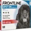 Frontline Spot On Hond XL 40-60 Kg 4 Stuks
