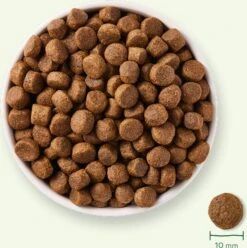 Yarrah Biologisch Hondenvoer Graanvrij Adult Kip 2 Kg -Beeztees || ROYAL CANIN || FLEXI Verkoopwinkel 8714265000287 7 1