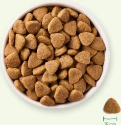 Yarrah Biologisch Hondenvoer Vega Graanvrij Adult 2 Kg -Beeztees || ROYAL CANIN || FLEXI Verkoopwinkel 8714265000423 7