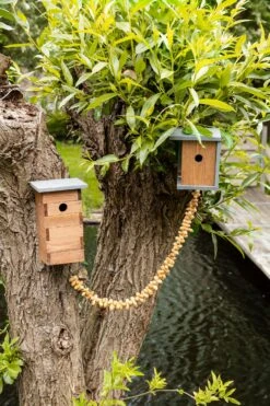 Intratuin Nestkast Pimpelmees 18 X 15,8 X 20,3 Cm -Beeztees || ROYAL CANIN || FLEXI Verkoopwinkel 8714982146220 3