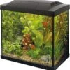 SuperFish Aquarium Start 50 Tropical Kit Zwart 45 L -Beeztees || ROYAL CANIN || FLEXI Verkoopwinkel 8715897165894 1