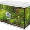 SuperFish Aquarium Start 100 Tropical Kit Wit 100 L -Beeztees || ROYAL CANIN || FLEXI Verkoopwinkel 8715897166204 1