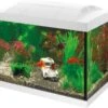 SuperFish Aquarium Start 20 Goldfish Kit Wit 20 L -Beeztees || ROYAL CANIN || FLEXI Verkoopwinkel 8715897190773 1