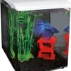 SuperFish Aquarium Home 8 Wit 8 L -Beeztees || ROYAL CANIN || FLEXI Verkoopwinkel 8715897221781 1