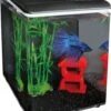 SuperFish Aquarium Home 8 Zwart 8 L -Beeztees || ROYAL CANIN || FLEXI Verkoopwinkel 8715897221798 1