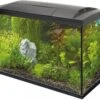 SuperFish Aquarium Start 150 Tropical Kit Zwart 146 L -Beeztees || ROYAL CANIN || FLEXI Verkoopwinkel 8715897312434 0