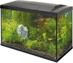 SuperFish Aquarium Start 150 Tropical Kit Zwart 146 L