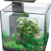 SuperFish Aquarium QubiQ 30 Pro Zwart 30 L -Beeztees || ROYAL CANIN || FLEXI Verkoopwinkel 8715897314674 1