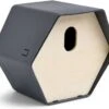 Capi Europe Vogelhuis Hive Ovaal Antraciet 19 X 22 X 20 Cm -Beeztees || ROYAL CANIN || FLEXI Verkoopwinkel 8716443107245 0 1