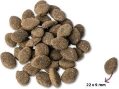 Renske Super Premium Droogvoeding Verse Lam Graanvrij 2 Kg -Beeztees || ROYAL CANIN || FLEXI Verkoopwinkel 8717185298222 2