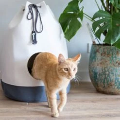 District 70 Kattenmand Casa Grijs D 45 H 60 Cm -Beeztees || ROYAL CANIN || FLEXI Verkoopwinkel 8717202613267 7