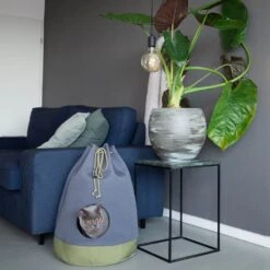 District 70 Kattenmand Casa Groen D 45 H 60 Cm -Beeztees || ROYAL CANIN || FLEXI Verkoopwinkel 8717202613687 8