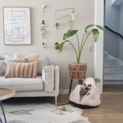 District 70 Kattenmand Tuck Beige D 50 H 30 Cm -Beeztees || ROYAL CANIN || FLEXI Verkoopwinkel 8717202615049 4