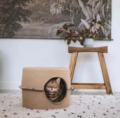 District 70 Kattenmand Bunker D 44 H 30 Cm -Beeztees || ROYAL CANIN || FLEXI Verkoopwinkel 8717202615247 6