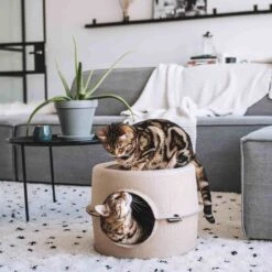 District 70 Kattenmand Bunker D 44 H 30 Cm -Beeztees || ROYAL CANIN || FLEXI Verkoopwinkel 8717202615247 7