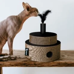 District 70 Krabkarton Fiesta Zwart D 25 H 25 Cm -Beeztees || ROYAL CANIN || FLEXI Verkoopwinkel 8717202615254 4