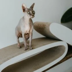 District 70 Krabkarton Office Wit 84 X 24 X 24 Cm -Beeztees || ROYAL CANIN || FLEXI Verkoopwinkel 8717202615285 10