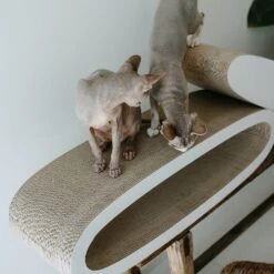 District 70 Krabkarton Office Wit 84 X 24 X 24 Cm -Beeztees || ROYAL CANIN || FLEXI Verkoopwinkel 8717202615285 9