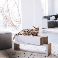 District 70 Krabkarton Stretch Wit 84 X 24 X 24 Cm -Beeztees || ROYAL CANIN || FLEXI Verkoopwinkel 8717202615292 4