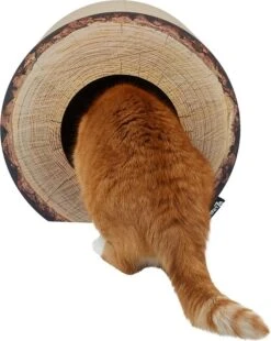 District 70 Krabkarton Boomstam Bruin D 40 H 30 Cm -Beeztees || ROYAL CANIN || FLEXI Verkoopwinkel 8717202615315 2