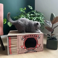 District 70 Krabkarton Whisker Roze 55 X 30 X 30 Cm -Beeztees || ROYAL CANIN || FLEXI Verkoopwinkel 8717202616527 4