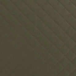 Overseas Petlife Orthopedisch Hondenkussen Daan Groen 110 X 75 X 7 Cm -Beeztees || ROYAL CANIN || FLEXI Verkoopwinkel 8717237180093 3