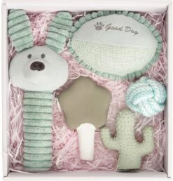 Intratuin Puppy Speelgoedpakket 5 Stuks Blauw -Beeztees || ROYAL CANIN || FLEXI Verkoopwinkel 8717263775218 4