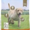 Intratuin Premium Puppyvoer 3 Kg -Beeztees || ROYAL CANIN || FLEXI Verkoopwinkel 8717263809852 0
