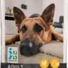 Intratuin Hondenvoer Adult Lam En Rijst 12 Kg -Beeztees || ROYAL CANIN || FLEXI Verkoopwinkel 8717263835097 1