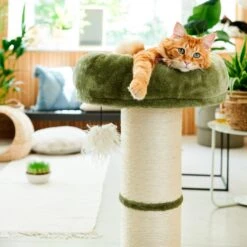 Intratuin Krabpaal XL Groen 48,5 X 48,5 X 77 Cm -Beeztees || ROYAL CANIN || FLEXI Verkoopwinkel 8720196330218 3