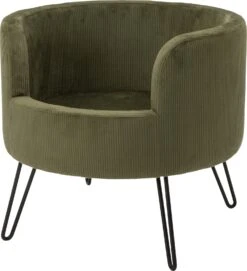 Intratuin Hondenmand Ella Rib Groen D 49 H 44 Cm