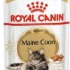 Royal Canin Kattenvoer Paté Maine Coon Adult 85 G 12 Stuks -Beeztees || ROYAL CANIN || FLEXI Verkoopwinkel 9003579001202