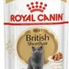 Royal Canin Kattenvoer Brits Korthaar Adult 85 G 12 Stuks -Beeztees || ROYAL CANIN || FLEXI Verkoopwinkel 9003579001240