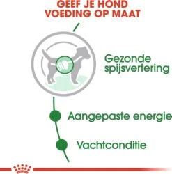 Royal Canin Hondenvoer Mini Adult 85 G 12 Stuks -Beeztees || ROYAL CANIN || FLEXI Verkoopwinkel 9003579008249 4