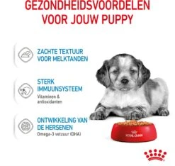 Royal Canin Hondenvoer Medium Puppy 140 G 10 Stuks -Beeztees || ROYAL CANIN || FLEXI Verkoopwinkel 9003579008324 4