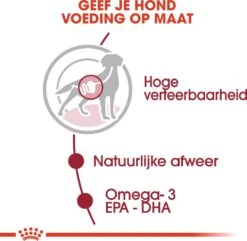 Royal Canin Hondenvoer Medium Adult 140 G 10 Stuks -Beeztees || ROYAL CANIN || FLEXI Verkoopwinkel 9003579008362 4