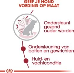 Royal Canin Hondenvoer In Saus Medium Ageing 10+ 140 G 10 Stuks -Beeztees || ROYAL CANIN || FLEXI Verkoopwinkel 9003579008409 4