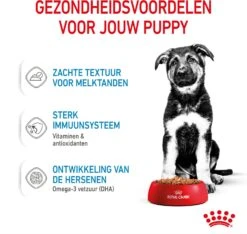 Royal Canin Hondenvoer Maxi Puppy 140 G 10 Stuks -Beeztees || ROYAL CANIN || FLEXI Verkoopwinkel 9003579008447 4