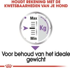 Royal Canin Hondenvoer Paté Sterilised 85 G 12 Stuks -Beeztees || ROYAL CANIN || FLEXI Verkoopwinkel 9003579008737 4