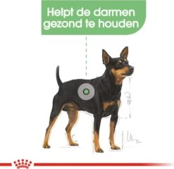 Royal Canin Hondenvoer Paté Digestive Care 85 G 12 Stuks -Beeztees || ROYAL CANIN || FLEXI Verkoopwinkel 9003579008775 2