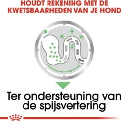 Royal Canin Hondenvoer Paté Digestive Care 85 G 12 Stuks -Beeztees || ROYAL CANIN || FLEXI Verkoopwinkel 9003579008775 4