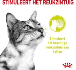 Royal Canin Kattenvoer In Saus Sensory Smell 85 G 12 Stuks -Beeztees || ROYAL CANIN || FLEXI Verkoopwinkel 9003579018507 3