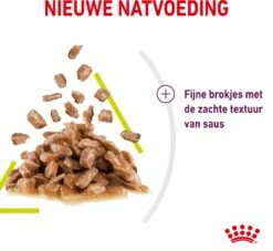 Royal Canin Kattenvoer In Saus Sensory Smell 85 G 12 Stuks -Beeztees || ROYAL CANIN || FLEXI Verkoopwinkel 9003579018507 4