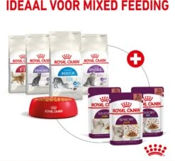 Royal Canin Kattenvoer In Saus Sensory Smell 85 G 12 Stuks -Beeztees || ROYAL CANIN || FLEXI Verkoopwinkel 9003579018507 5